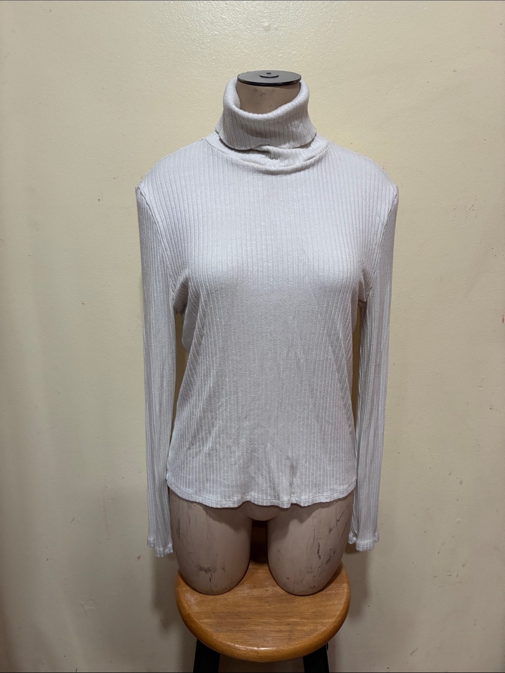 Courtney Burke Classic White Ribbed Turtleneck Long Sleeve Top